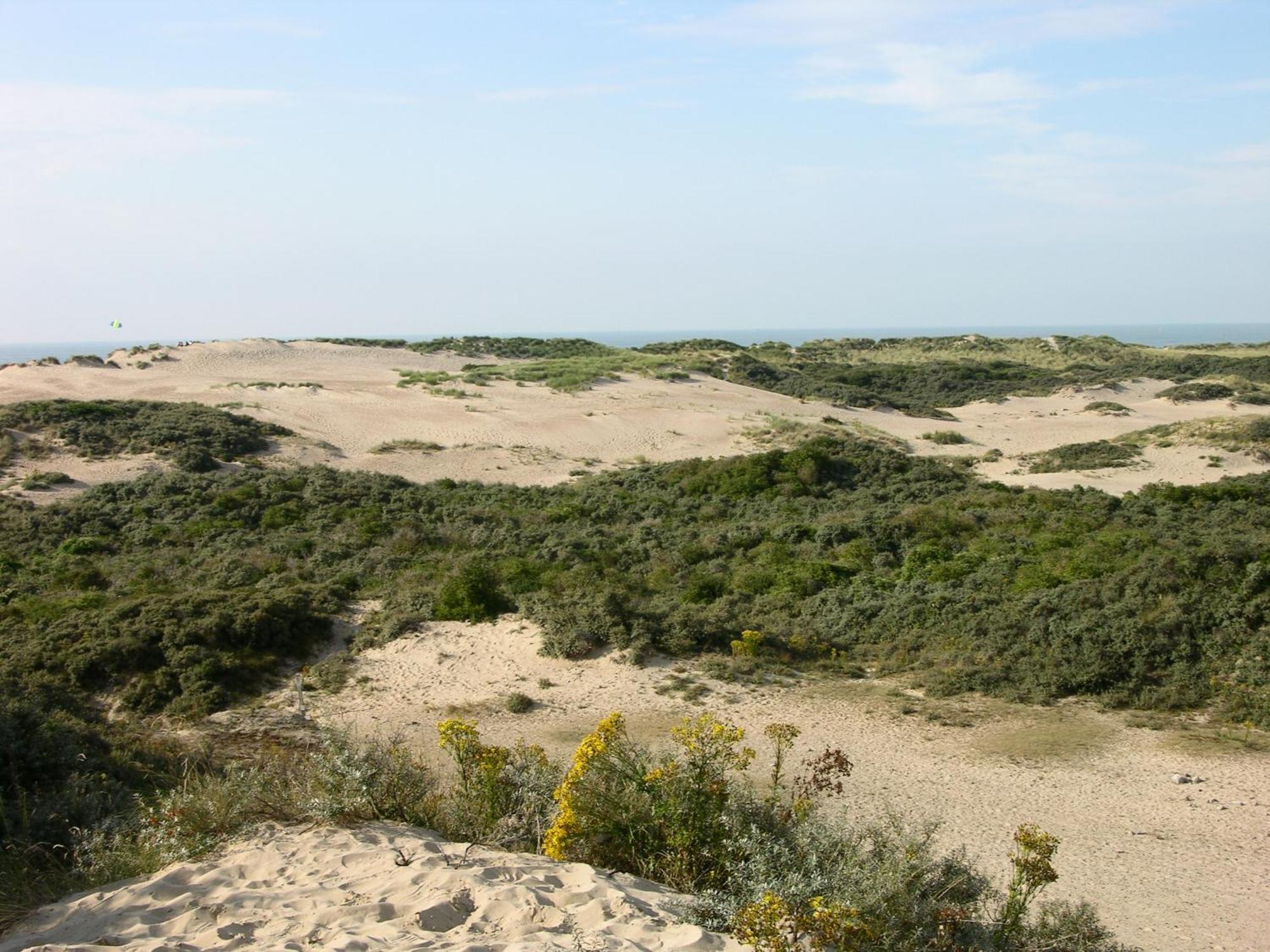 Hotel Carnac Koksijde Kültér fotó